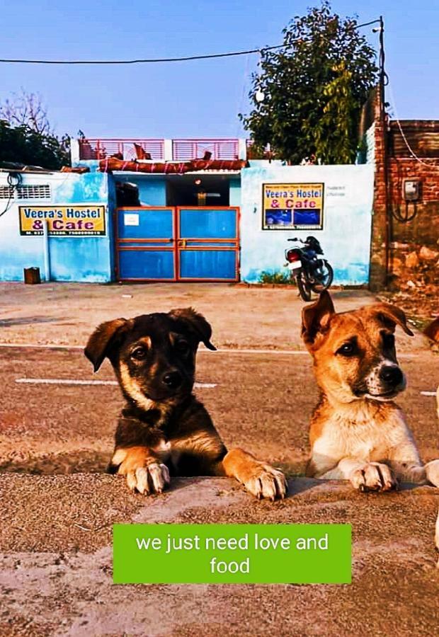 Veera'S Hostel Pushkar Ngoại thất bức ảnh